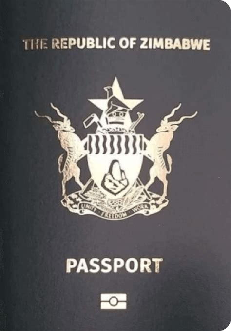 Explore The World Of Passports By Region Or Type Passport Index 2020