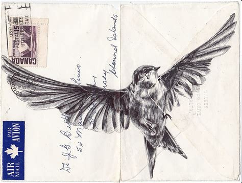 Mark Powell Biro Pen Drawings | Biro drawing, Bird drawings, Bic biro