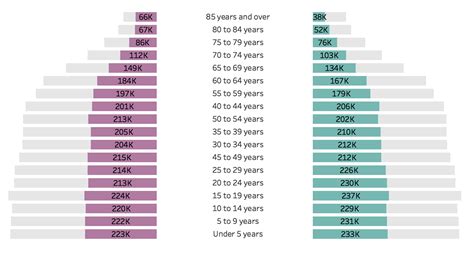 How To Visualize Age Sex Patterns With Population Pyramids In Tableau