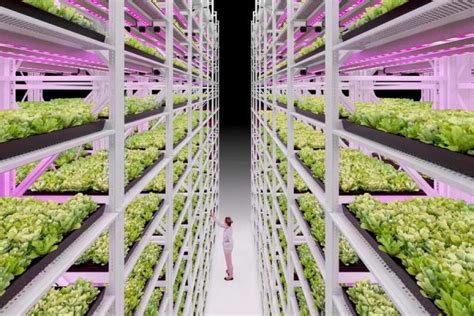 Vertical Growing Farming Systems Vital Valt