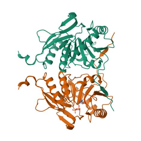 Rcsb Pdb 2qgi The Udp Complex Structure Of The Sixth Gene Product Of