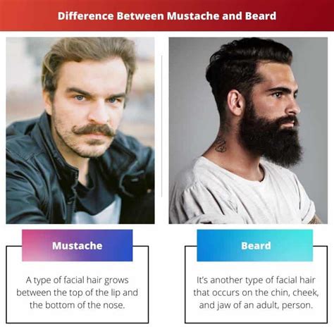 Mustache vs Beard: Difference and Comparison