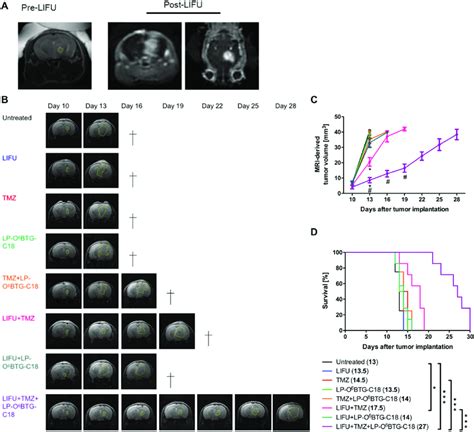 Lifu In Combination With Systemic Lp O 6 Btg C18 And Tmz Treatment Download Scientific Diagram