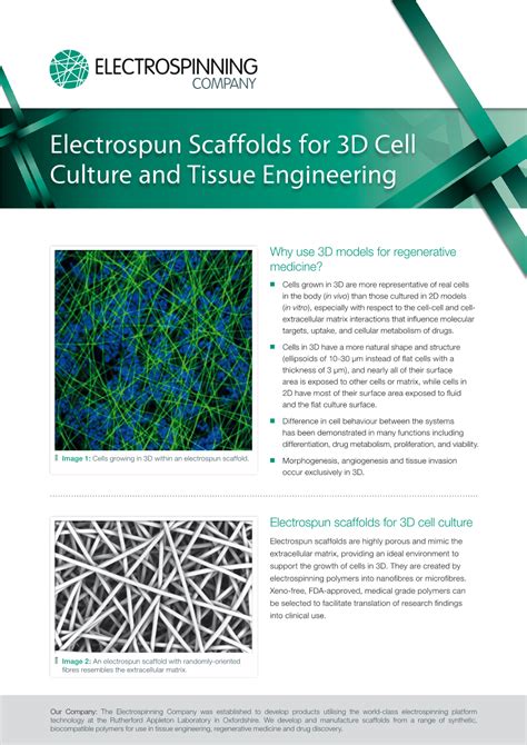 Electrospun Scaffolds For 3d Cell Culture And Tissue Engineering Docslib