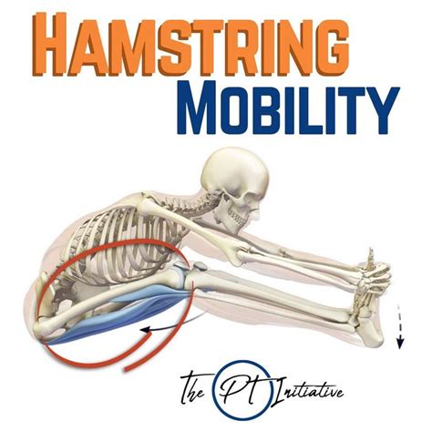 Dr Adam Mccluskey Pt Dpt On Instagram Fix Those Tight Hamstrings