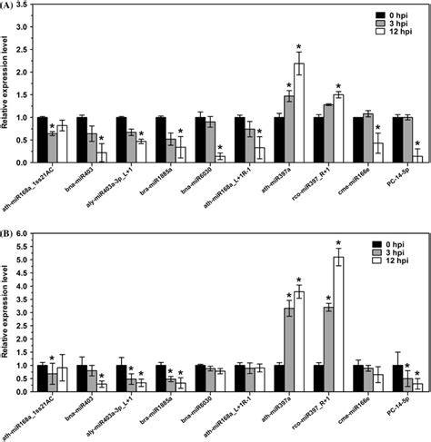 Expression Profiles Of B Napus Mirnas A Revealed By Mirna Microarray Download Scientific