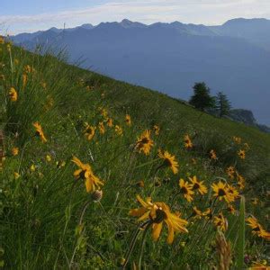 Dall Appennino Alle Alpi Parco Naturale Orsiera Rocciavr