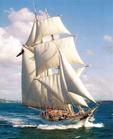 Pin By Monique Willems On Ships And Boats In Sailing Ships