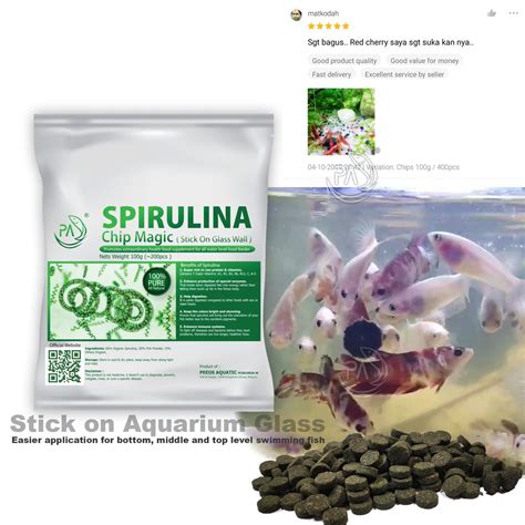 Pa Spirulina Powder Chip Magic Makanan Anak Ikan Laga Shrimp Kutu Air