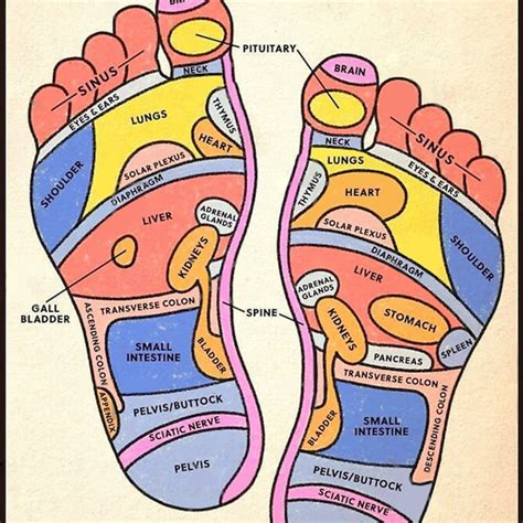 Reflexology Poster Etsy