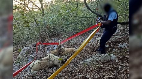 Alpes de Haute Provence une enquête ouverte après la mort par balles