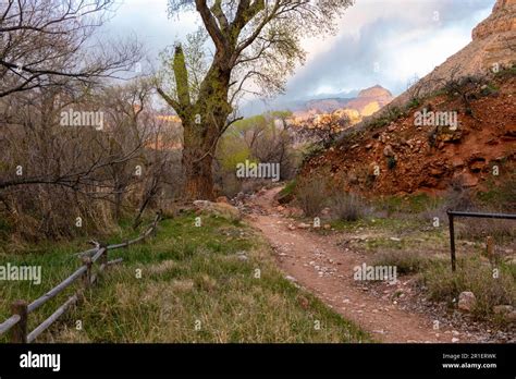 Bright Angel Trail Through Havasupai Gardens Campground Grand Canyon