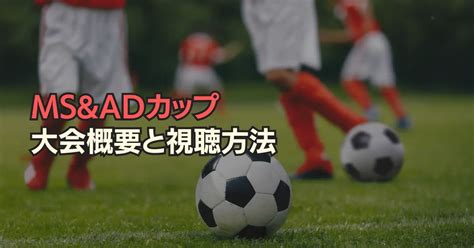 Msandadカップ2023はパナマと対戦決定！大会概要を解説【女子サッカー代表】 女サカnow