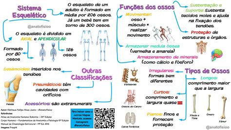 Introdu O Ao Sistema Esquel Tico Mapa Mental Youtube