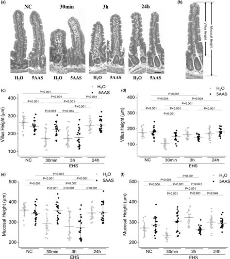 A Representative Microphotographs Of Histomorphological Changes Of