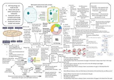 Aqa Gcse Biology 9 1 B1 Triple Science Revision Summary Sheets Teaching Resources