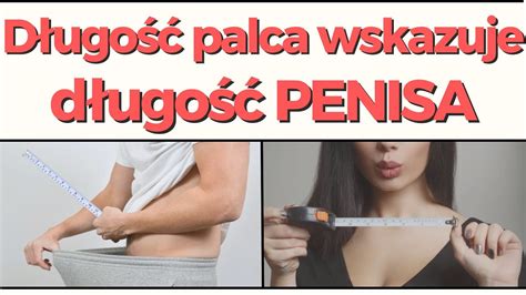 Długość palca wskazuje długość PENISA YouTube