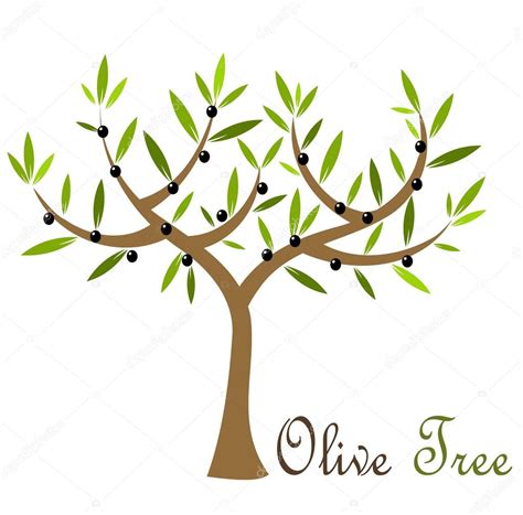 Olive Tree Stock Vector Studiobarcelona