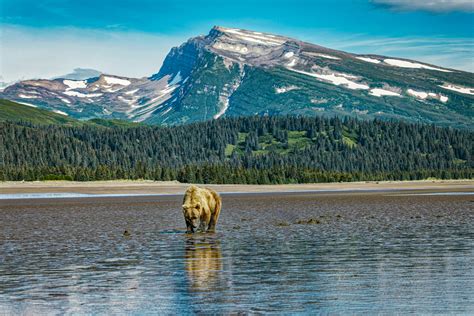 An Adventurer S Guide To Lake Clark National Park Alaska Skyblue