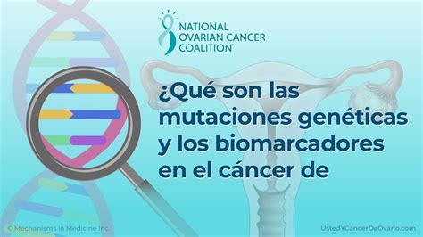 Qu Son Las Mutaciones Gen Ticas Y Los Biomarcadores En El C Ncer De