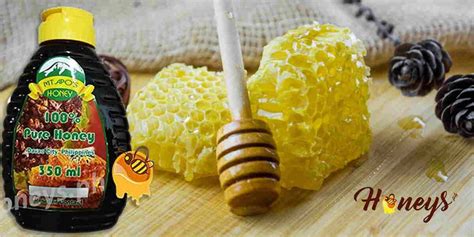 Fake Honey Brands in the Philippines | Honeys.PH