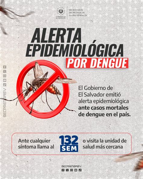 Minsal Declar Alerta Epidemiol Gica Por Dengue Ante El Fallecimiento