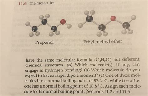 Answered The Molecules Ethyl Methyl Ether Bartleby