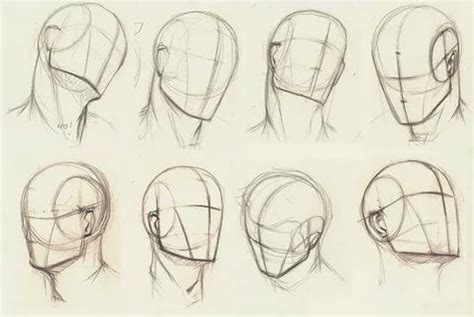 Drawing The Human Head Drawing Heads Human Anatomy Drawing Drawing