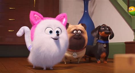 La Vida Secreta De Tus Mascotas Gidget Quiere Ser Gato Cine Premiere