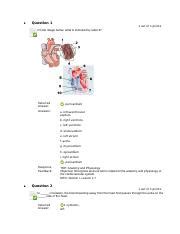 Understanding Cardiovascular System Module 10 Assessment Course Hero