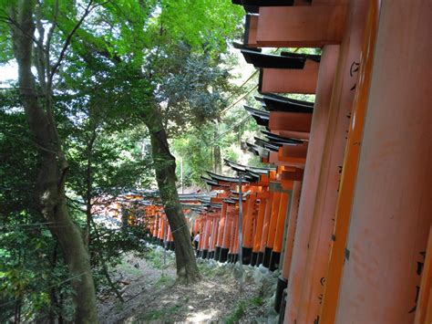 京都一周トレイル® 1日目 東山コース ～大岩山・稲荷山・今熊野山・清閑寺山・清水山・東山・神明山・大日山・大文字山・善気山・月待山