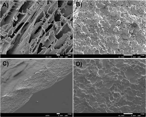 Cryo SEM Images Of SC ALG 10 1 Complexes In Aqueous Dispersion