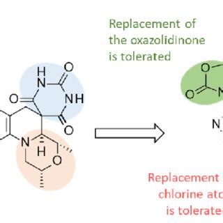 Views Of The Gepotidacin Complex Formed With S Aureus Dna Gyrase And