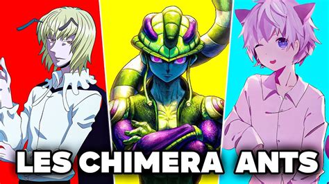 TOUTES LES FOURMIS CHIMÈRE DANS HUNTER X HUNTER EXPLIQUÉS YouTube