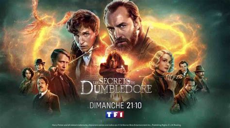 Les Animaux Fantastiques Les Secrets De Dumbledore Le Film Ce