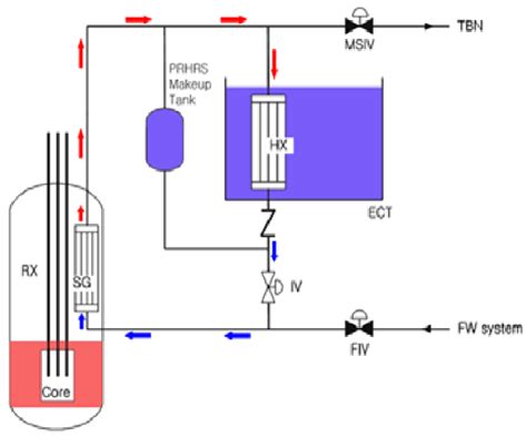 A Schematic Of The Passive Residual Heat Removal System And Its