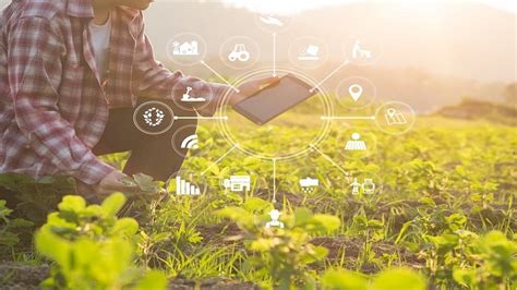 Wireless Sensor Networks For Agriculture Electronics360