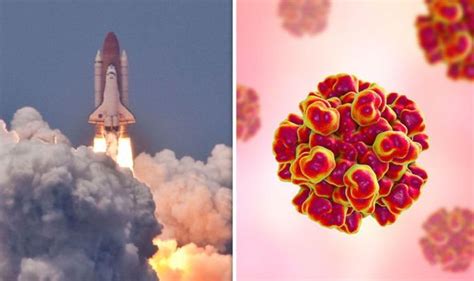 Nasa Space Herpes Warning What Diseases Can Astronauts Catch