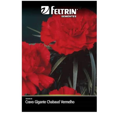 Sementes De Cravo Gigante Chabaud Vermelho Feltrin Leroy Merlin