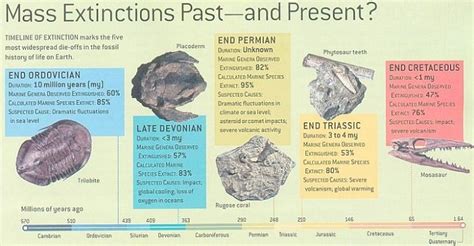 TWO EXTINCTIONS AND THE DINOSAURS Crater Explorer