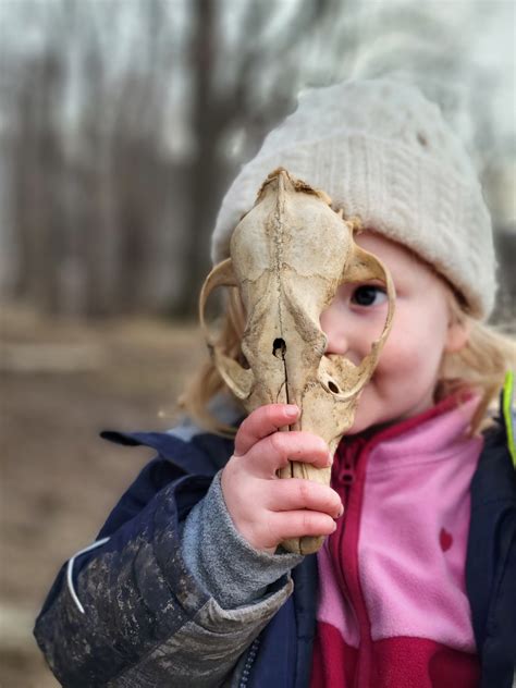 Join us for a FREE Forest Play Day - Ithaca Forest Preschool