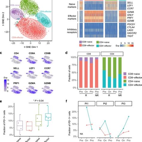 Trajectory Analysis And Related Genes Of Cd8⁺ T Cell Clone Tcr1 A