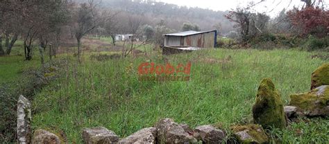 Terreno Venda Em Rio De Loba Viseu Ref Habitar Portugal