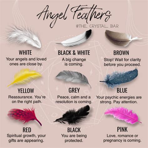 The Crystal Bar Feather Color Meaning Finding Feathers Feather