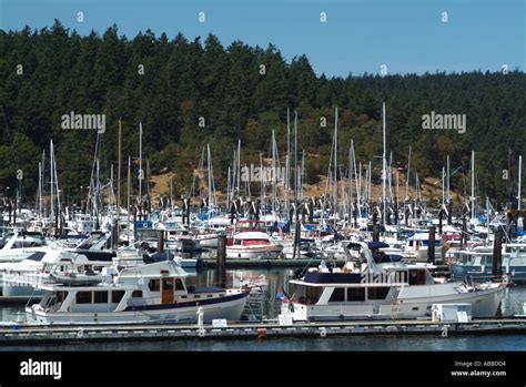 Friday Harbor Washington Stock Photo Alamy