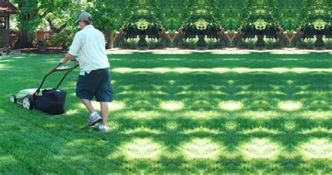 Promoting Sustainable Lawn Care The Environmental Benefits Of Electric Mowers