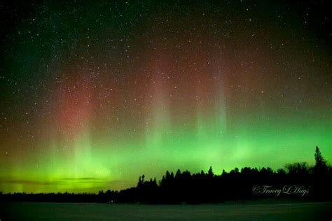 Green And Red Aurora Lights In The Night Sky Over Snow Covered Ground