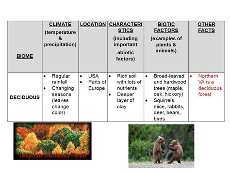 Abiotic And Biotic Factors Examples