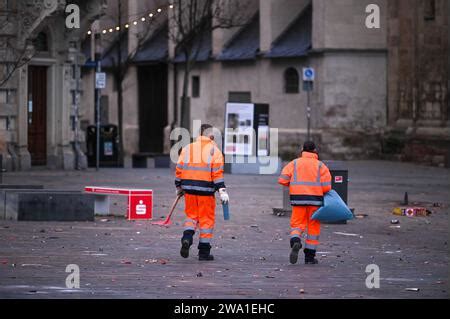 Gennaio Sassonia Anhalt Halle Saale Le Spazzole Di Una