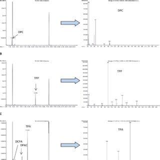 Total Ion Chromatograms Left And EI Mass Spectra Right Of The